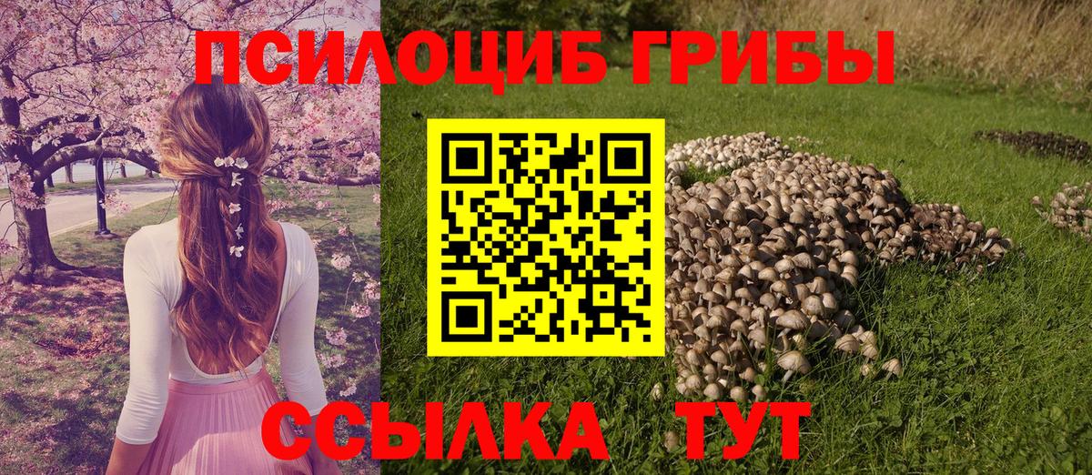 Галлюциногенные грибы MAGIC MUSHROOMS  Псилоцибиновые грибы Psilocybine cubensis  Лиски  Вход с VPN 
